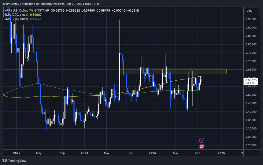 XRP trading below rhe 1W 200 MA. 