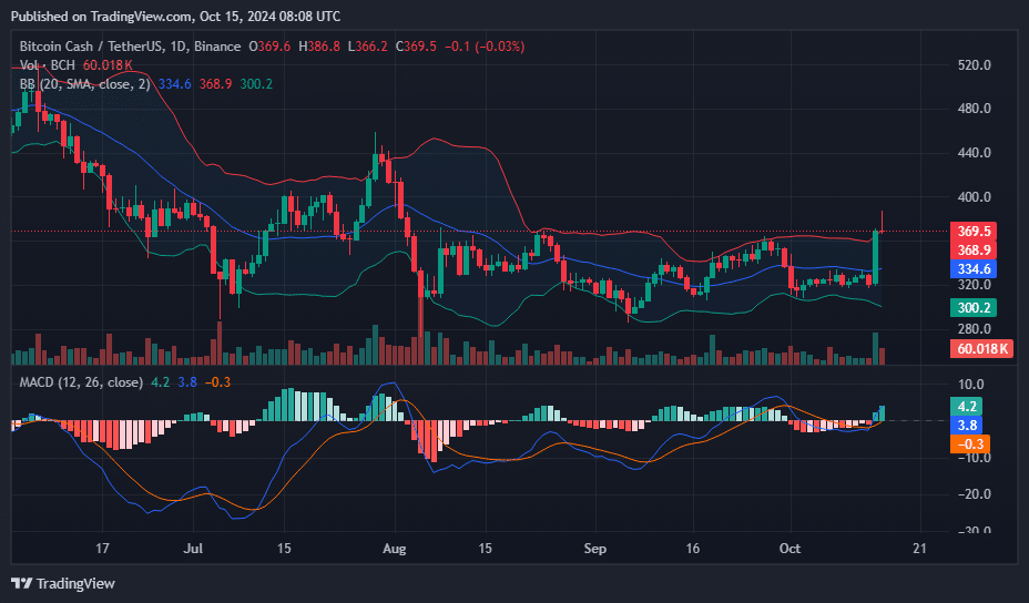 Bitcoin Cash up 12% in 24 hours, analysts expect the rally to continue - 2