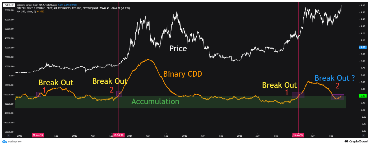 Bitcoin Binary CDD