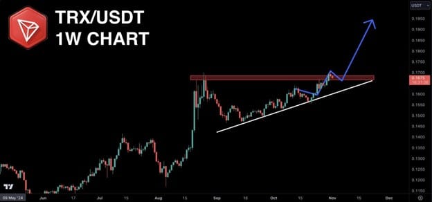 Ripple bulls hold strong, Tron rises while Cutoshi tops presale charts - 2