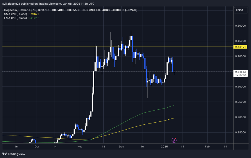 DOGE testing crucial demand 