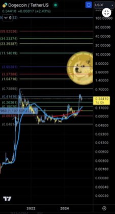 Dogecoin price 2