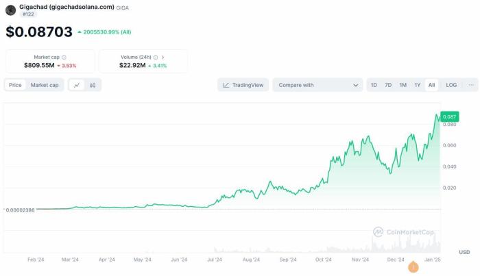 Gigachad is the among the best performing meme coins in early 2025