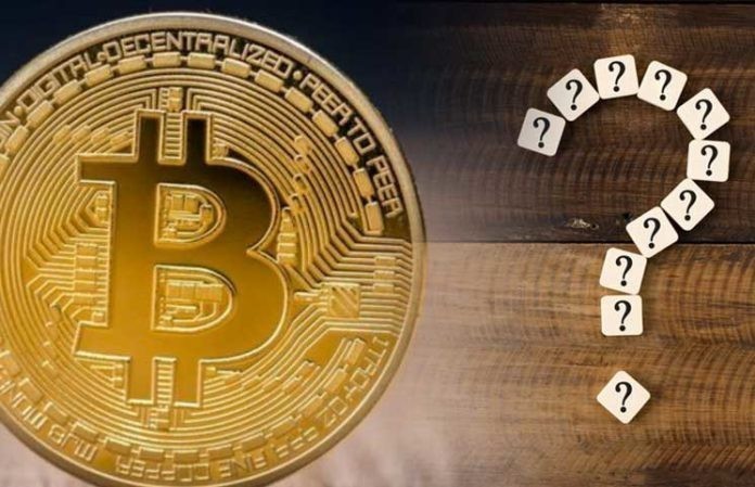Bitwise CIO Identifies 4 Promising Cryptocurrencies for 2026! “Bitcoin and Three Altcoins Included in the List!”