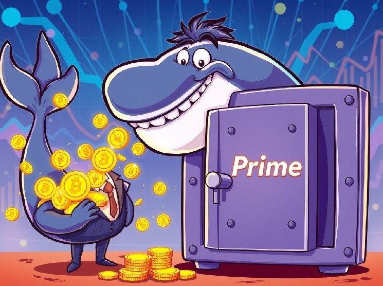 A Monumental $89.5M Vote of Confidence in Crypto