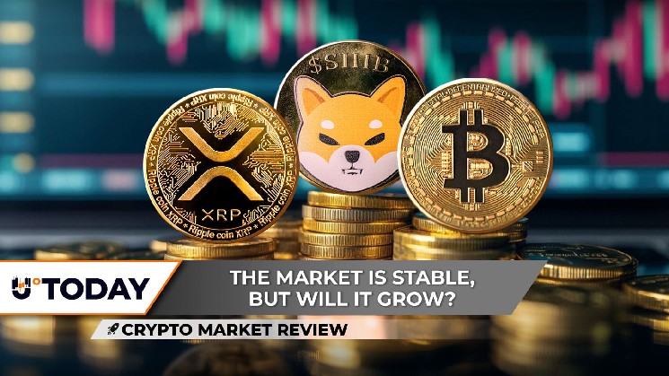 XRP’s Double Bottom Could Be Key, Bitcoin Is Literally on the Edge, Shiba Inu (SHIB) Price Is Trapped Now