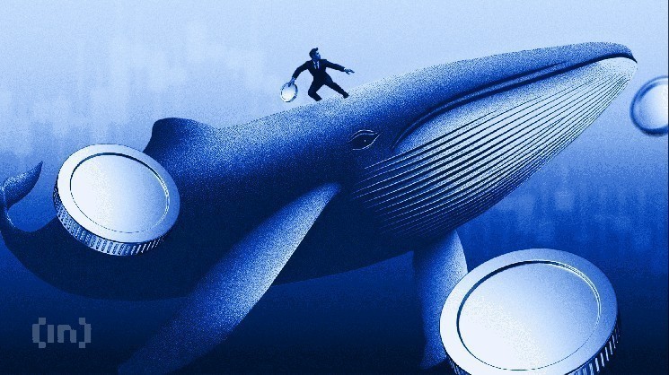 3 Altcoins Crypto Whales are Buying After Supreme Court’s Trump Tariff Ban