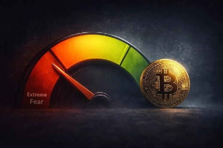 Two Experts Assess the Future of Bitcoin and Altcoins