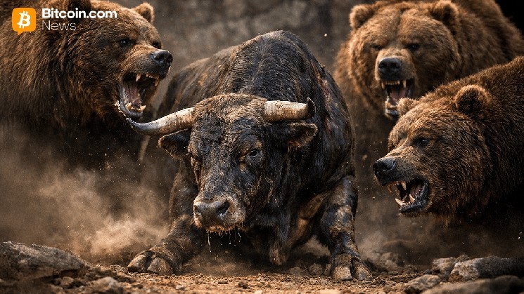 $238 Million in Longs Vaporized as BTC Hits $64,161