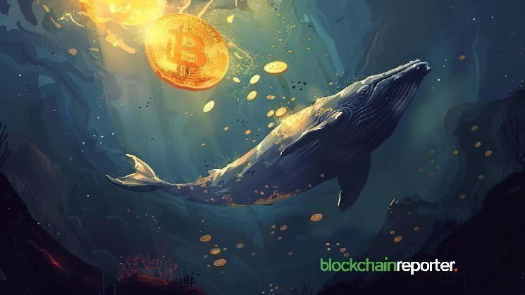 Dormant Bitcoin Whale Awakens After 5 Years – 1,000 BTC Deposit to Bitfinex Signals Market Shift