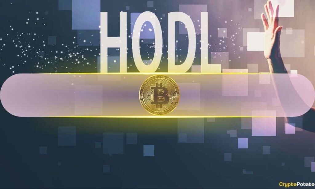 Why Bitcoin’s Rising HODL Cohorts Are a Bearish Signal This Time